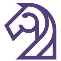 Rovin capital advisor firm logo